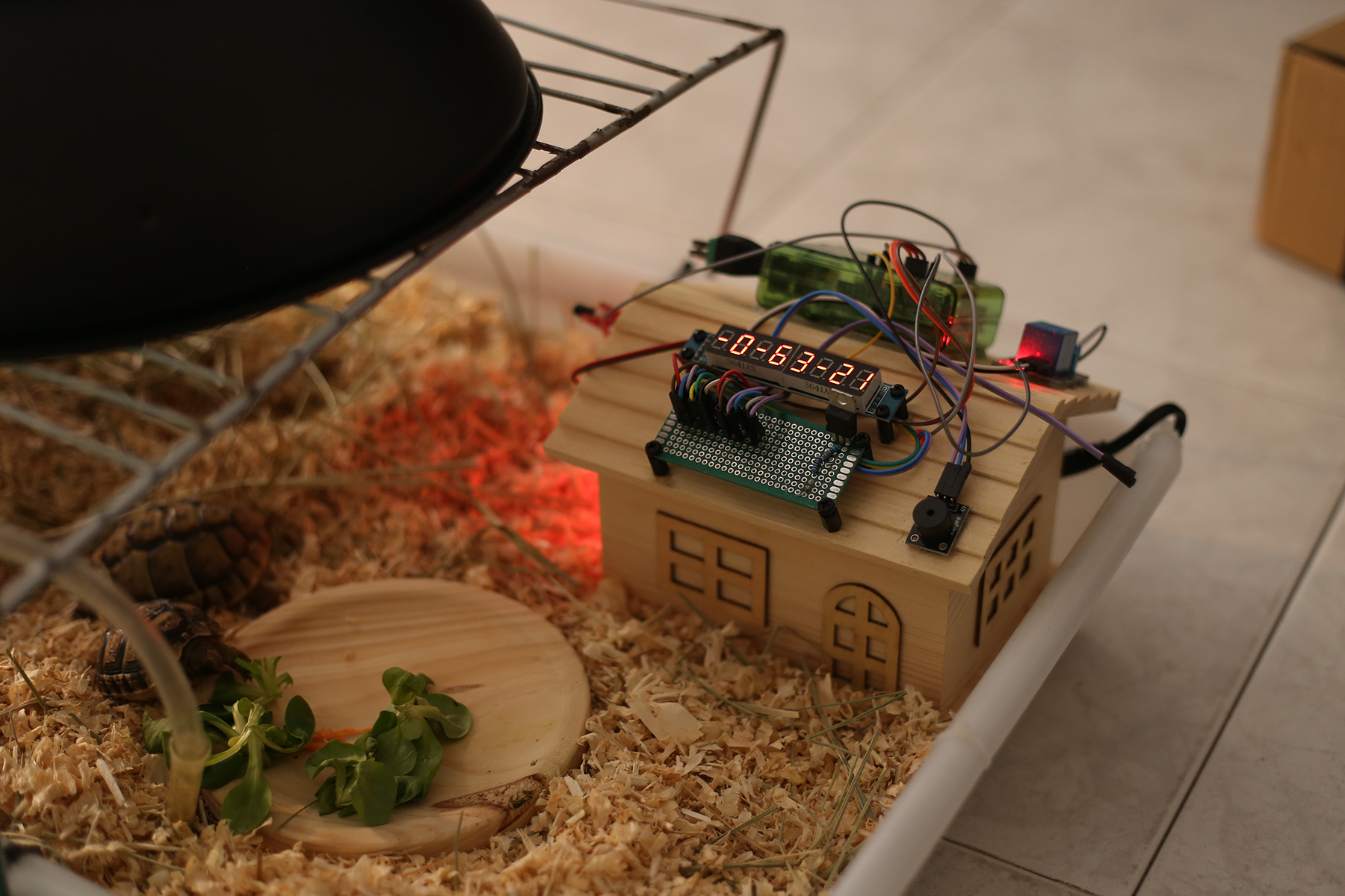 Turtle's wooden house with view of room and monitoring sensors